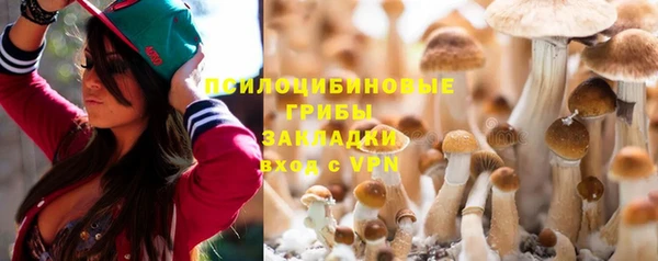 каннабис Щигры