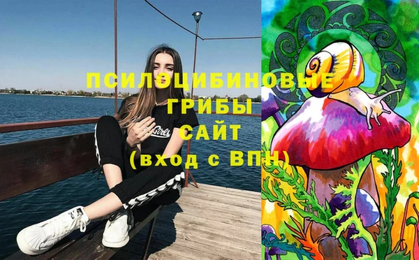 мет Кинешма