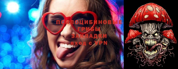 дмт Шадринск